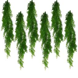 Leaf Light Green Fern Hanging Pearls Plant 100cm 6 Pack - Size: 100 x 12 x 12cm - Wilko - thumbnail 1