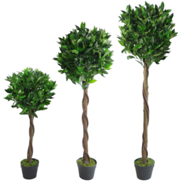 Leaf Bay Laurel Ball Artificial Tree with Twisted Natural Trunk 90cm - Size: 90 x 45 x 45cm - Green - Wilko - thumbnail 4