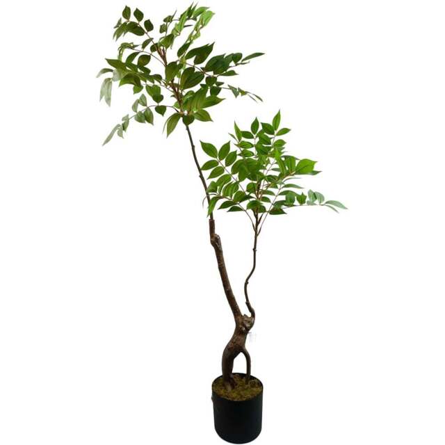 Leaf Evergreen Toona Sinensis Artificial Plant 3.6ft - Size: 110 x 60 x 60cm - Wilko - image 1