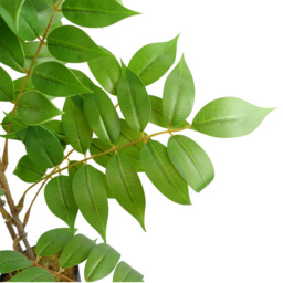 Leaf Evergreen Toona Sinensis Artificial Plant 3.6ft - Size: 110 x 60 x 60cm - Wilko - thumbnail 5