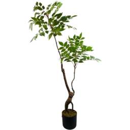 Leaf Evergreen Toona Sinensis Artificial Plant 3.6ft - Size: 110 x 60 x 60cm - Wilko - thumbnail 1