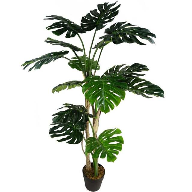 Botanik Monstera Luxury Cheese Artificial Plant in Pot 5ft - Size: 150 x 70 x 70cm - Green - Wilko - image 1
