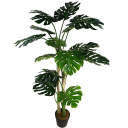 Botanik Monstera Luxury Cheese Artificial Plant in Pot 5ft - Size: 150 x 70 x 70cm - Green - Wilko - thumbnail 1