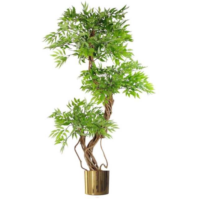 Botanik Japanese Fruticosa Ficus Artificial Tree in Gold Metal Planter 4.5ft - Size: 140 x 60 x 60cm - Green - Wilko - image 1