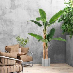 Costway Banana Tree Artificial Plant In Pot 5.4ft - Size: 172 x 22 x 20cm - Green - Wilko - thumbnail 5