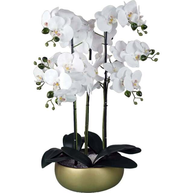 Botanik White Orchid Artificial Tree in Gold Ceramic Planter 60cm - Size: 60 x 40 x 40cm - Wilko - image 1
