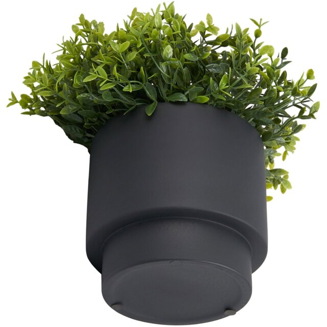 Grass in Black Pot - Black - Wilko - image 1