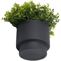 Grass in Black Pot - Black - Wilko - thumbnail 1