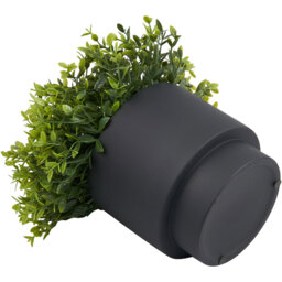 Grass in Black Pot - Black - Wilko - thumbnail 3