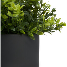 Grass in Black Pot - Black - Wilko - thumbnail 5