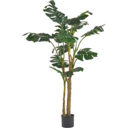 Botanik Premium Monstera Artificial Plant 4.9ft - Size: 150 x 80 x 80cm - Green - Wilko - thumbnail 1