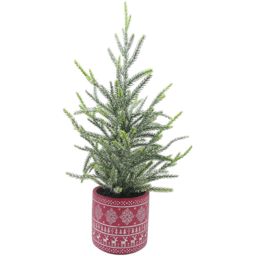 Pattern Potted Tree - Red or Grey - Santa's Chalet - Wilko - thumbnail 4