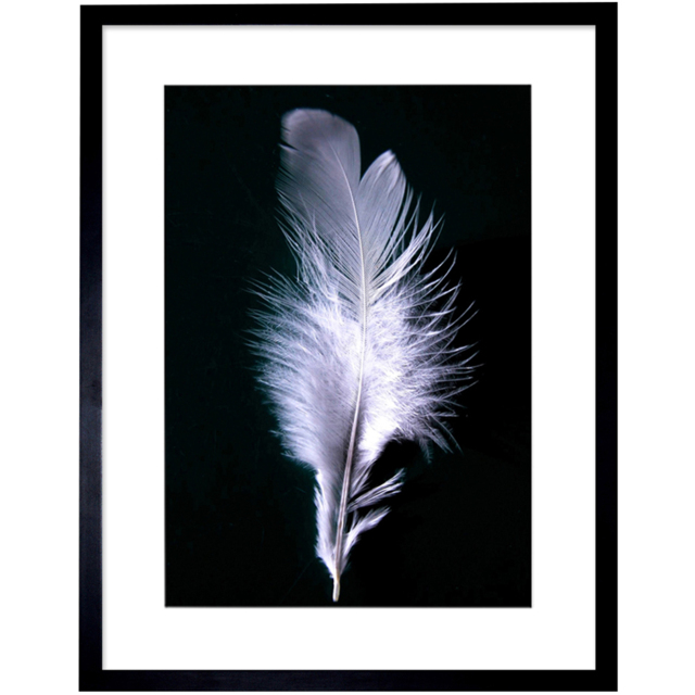 Wee Blue Coo Black and White Modern Bird Feather Photo Framed Wall Art Print 30 x 41cm - Size: 43.3 x 33.3 x 1.5cm - Wilko - image 1