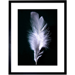 Wee Blue Coo Black and White Modern Bird Feather Photo Framed Wall Art Print 30 x 41cm - Size: 43.3 x 33.3 x 1.5cm - Wilko - thumbnail 1