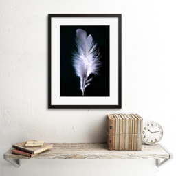 Wee Blue Coo Black and White Modern Bird Feather Photo Framed Wall Art Print 30 x 41cm - Size: 43.3 x 33.3 x 1.5cm - Wilko - thumbnail 3