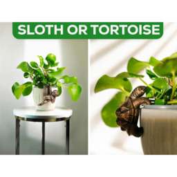 Marco Paul Bronze Tortoise Plant Pot Hanger Garden Ornament 2 Pack - Size: 10 x 5 x 20cm - Silver - Wilko - thumbnail 6
