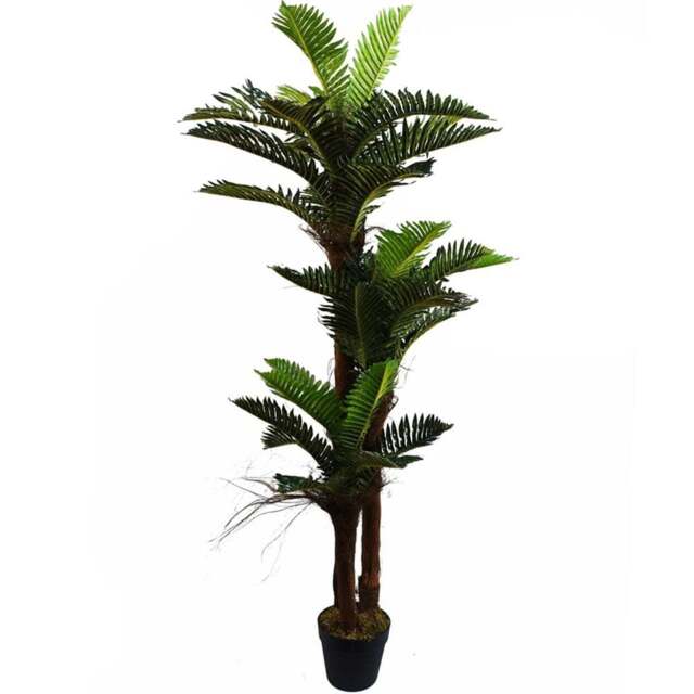 Botanik Palm Artificial Tree with Natural Trunk in Pot 5ft - Size: 150 x 70 x 70cm - Green - Wilko - image 1