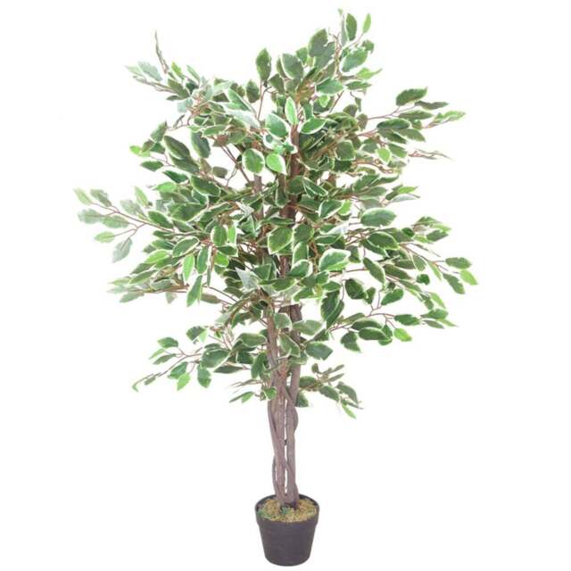 Leaf Ficus White Edge Artificial Tree in Pot 130cm - Size: 100 x 60 x 60cm - Green - Wilko - image 1