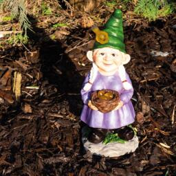 St Helens Female Gnome With Egg Basket - Size: 2.1x1.88x3.12cm - Purple - Wilko - thumbnail 4