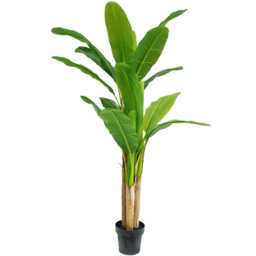 Botanik Tropical Artificial Banana Tree in Pot 6ft - Size: 180 x 90 x 90cm - Green - Wilko - thumbnail 1
