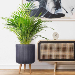 wilko Ribbed Black Indoor Cylinder Plant Pot with Legs 46cm - Instadecor - thumbnail 6