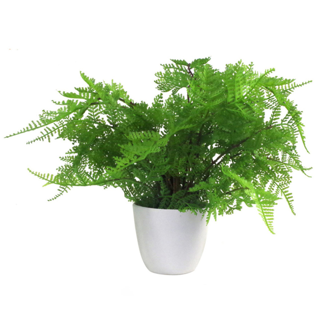 Botanik Lady Fern Artificial Tree in Pot 30cm - Size: 30 x 40 x 40cm - Green - Wilko - image 1