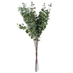 Leaf Eucalyptus Artificial Foliage 6 x 100cm - Size: 100 x 20 x 20cm - Green - Wilko - thumbnail 1