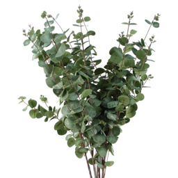 Leaf Eucalyptus Artificial Foliage 6 x 100cm - Size: 100 x 20 x 20cm - Green - Wilko - thumbnail 4