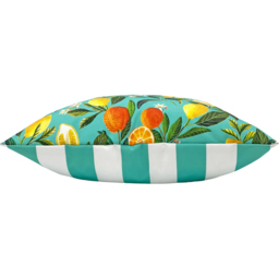 Evans Lichfield Orange Blossom Outdoor Reversible Cushion - Size: 43 x 43 x 10cm - Multi - Wilko - thumbnail 4