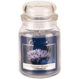 True Aroma Midnight Bloom Large Jar Scented Candle - Size: 9 x 16 x 9cm - Wilko - thumbnail 1