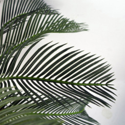 Leaf Tropical Cycas Palm Artificial Tree 80cm - Size: 80 x 70 x 70cm - Green - Wilko - thumbnail 4