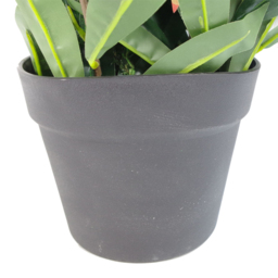 Leaf Red and Green Ficus Artificial Tree in Pot 80cm - Size: 80 x 40 x 40cm - Wilko - thumbnail 3