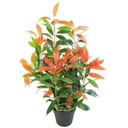 Leaf Red and Green Ficus Artificial Tree in Pot 80cm - Size: 80 x 40 x 40cm - Wilko