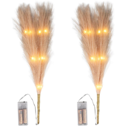 Shatchi Pre Lit Champagne Pampas Grass 45cm - Size: 45 x 5 x 5cm - Cream - Wilko - thumbnail 4