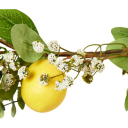 Green Garland with Lemons and Leaves - Wilko - thumbnail 4