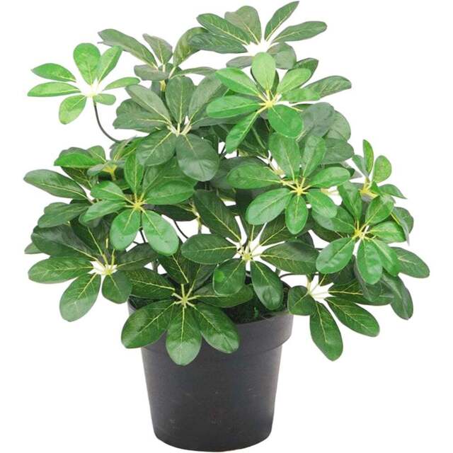 Botanik Dark Arboricola Plant Umbrella Artificial Tree 55cm - Size: 55 x 30 x 30cm - Green - Wilko - image 1