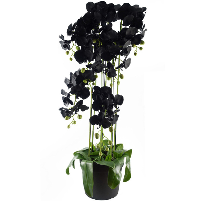 Botanik Large Black Orchid Artificial Plant in Pot 3.6ft - Size: 110 x 40 x 40cm - Wilko - image 1