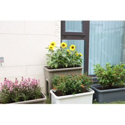 Raised Garden Flower Bed - Grey - My - Wilko - thumbnail 7