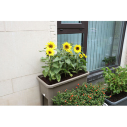 Raised Garden Flower Bed - Grey - My - Wilko - thumbnail 6