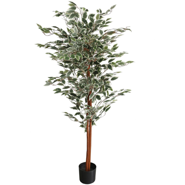Leaf Ficus Natural Variegated Leaves Artificial Plant Pot 160cm - Size: 160 x 80 x 80cm - Green - Wilko - image 1