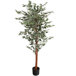Leaf Ficus Natural Variegated Leaves Artificial Plant Pot 160cm - Size: 160 x 80 x 80cm - Green - Wilko - thumbnail 1