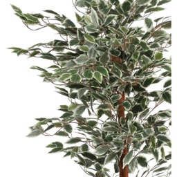 Leaf Ficus Natural Variegated Leaves Artificial Plant Pot 160cm - Size: 160 x 80 x 80cm - Green - Wilko - thumbnail 3