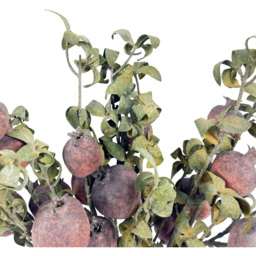 Leaf Pomegranate Artificial Stem 75cm 6 Pack - Size: 75 x 10 x 10cm - Green - Wilko - thumbnail 7
