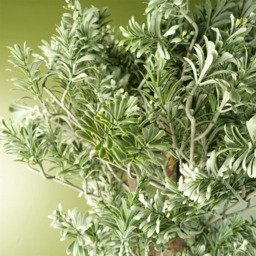 Botanik Large Artificial Boxwood Style Artemisa Topiary Plant 14cm - Size: 70 x 40 x 40cm - Green - Wilko - thumbnail 5