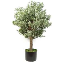 Botanik Large Artificial Boxwood Style Artemisa Topiary Plant 14cm - Size: 70 x 40 x 40cm - Green - Wilko - thumbnail 1