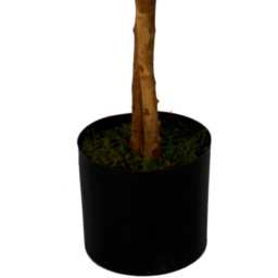 Botanik Wisteria Artificial Tree with Real Wood Trunk in Pot 4.3ft - Size: 130 x 70 x 70cm - Green - Wilko - thumbnail 4