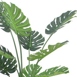 Botanik Monstera Cheese Artificial Plant in Pot 4ft - Size: 120 x 70 x 70cm - Green - Wilko - thumbnail 5