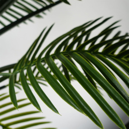 Botanik Tropical Raphis Artificial Palm Tree in Pot 4ft - Size: 125 x 90 x 90cm - Green - Wilko - thumbnail 7