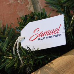 Samuel Alexander Frosted Glacier Christmas Garland with Pine Cones 270cm - Green - Wilko - thumbnail 7