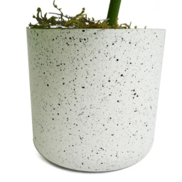 Leaf Green Monstera Potted Artificial Plant 30cm - Size: 30 x 30 x 30cm - Wilko - thumbnail 4